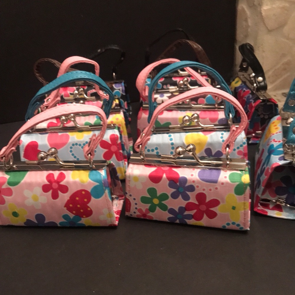 Mini Clutch Purse (12)